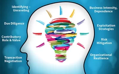 Managing Business’s ‘Mission Essential’ Intangible Assets