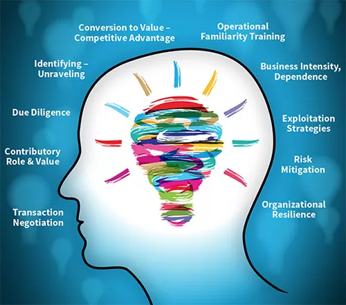 Managing Business’s ‘Mission Essential’ Intangible Assets