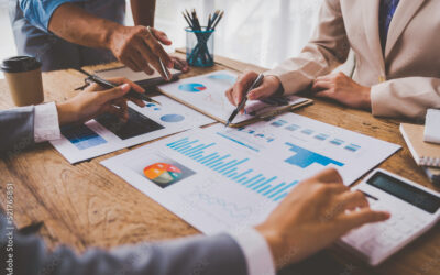 Valuing Business’s Intangible Assets: Frustrations and Reservations